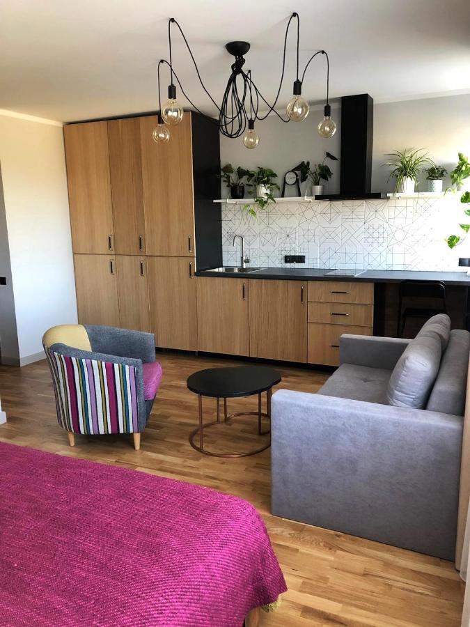 Kaktuss apartamenti Smiltene Bagian luar foto
