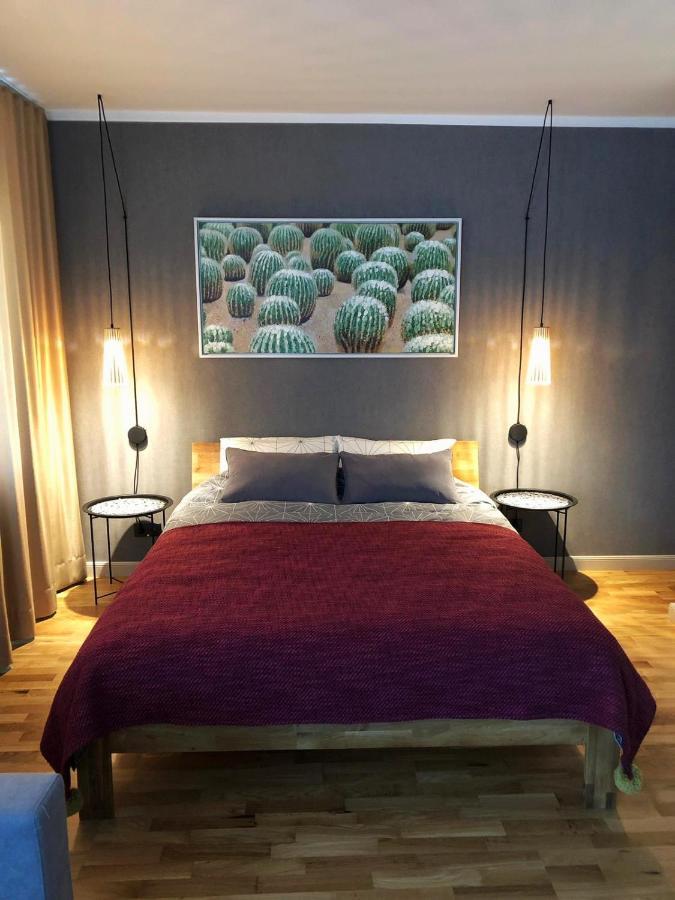 Kaktuss apartamenti Smiltene Bagian luar foto